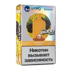 Одноразовая электронная сигарета Waka Ежевичная Волна 6000 затяжек